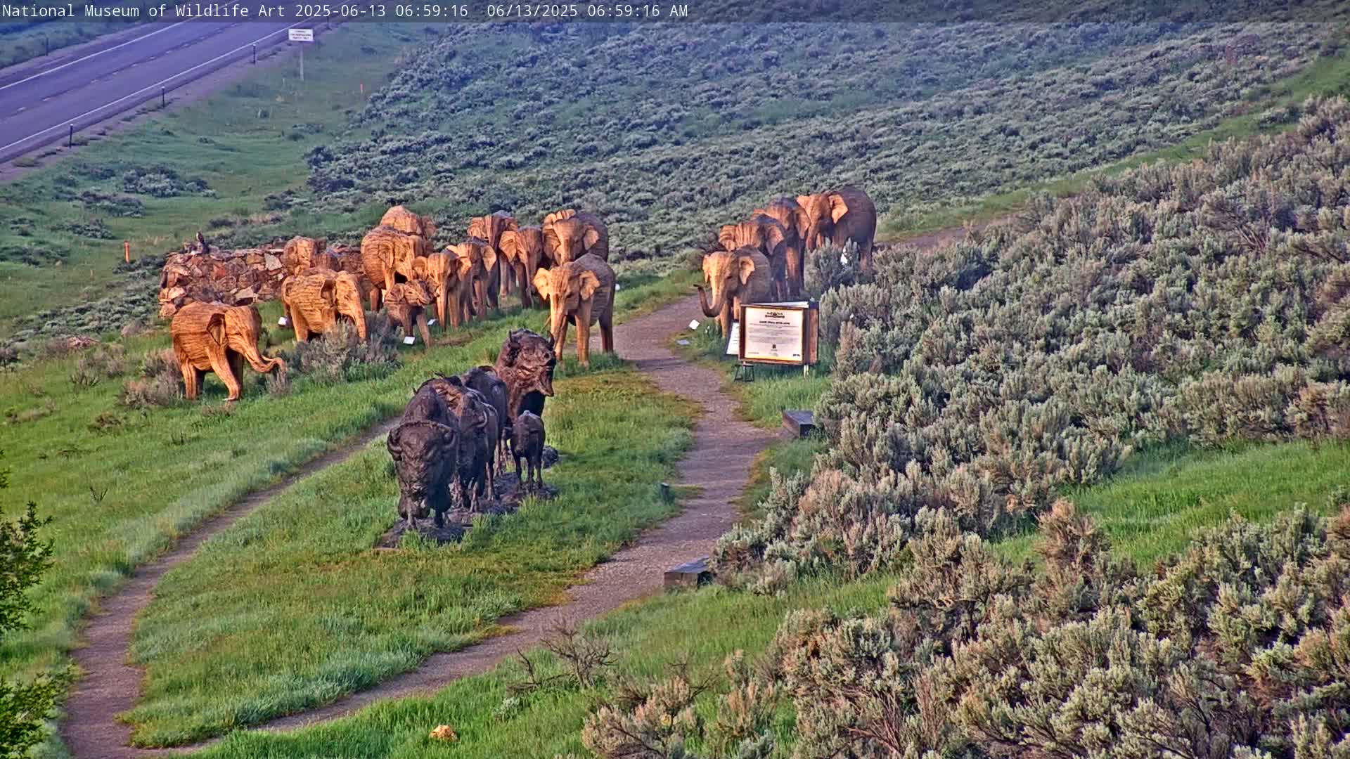A winding path leads to several wooden elephant sculptures and a group of bison sculptures in a grassy field on a sunny morning.