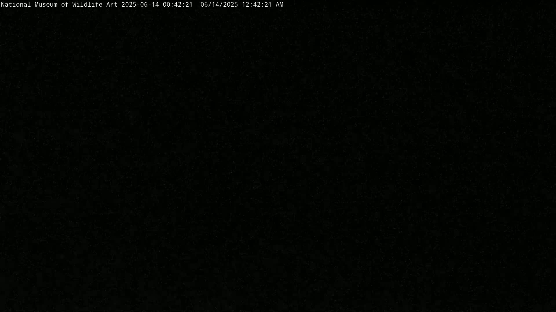 Jackson Hole, Elk Refuge from National Museum of Wildlife Art Live Cam -  Jackson, Teton, Wyoming, USA