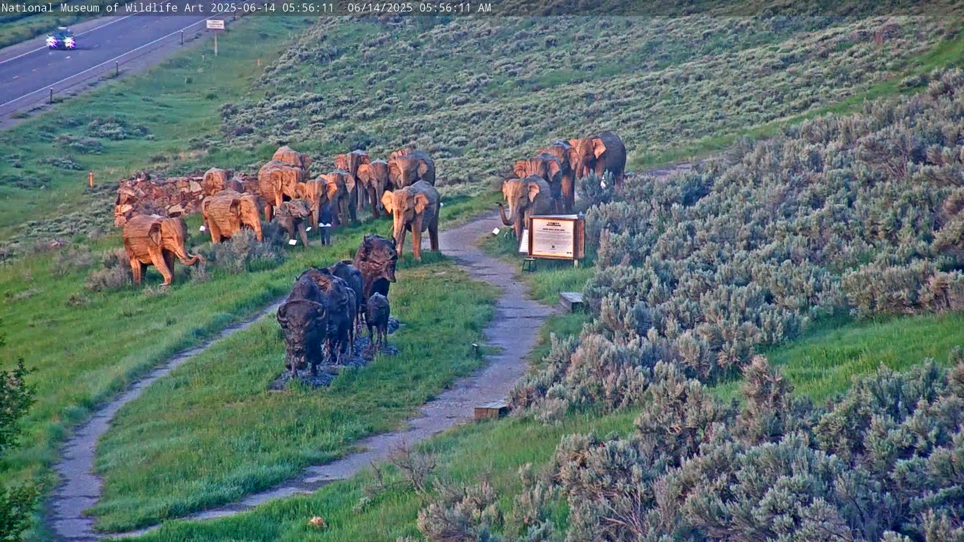 A winding path leads to a collection of wooden elephant and bronze bison sculptures on a grassy hillside under a clear sky.