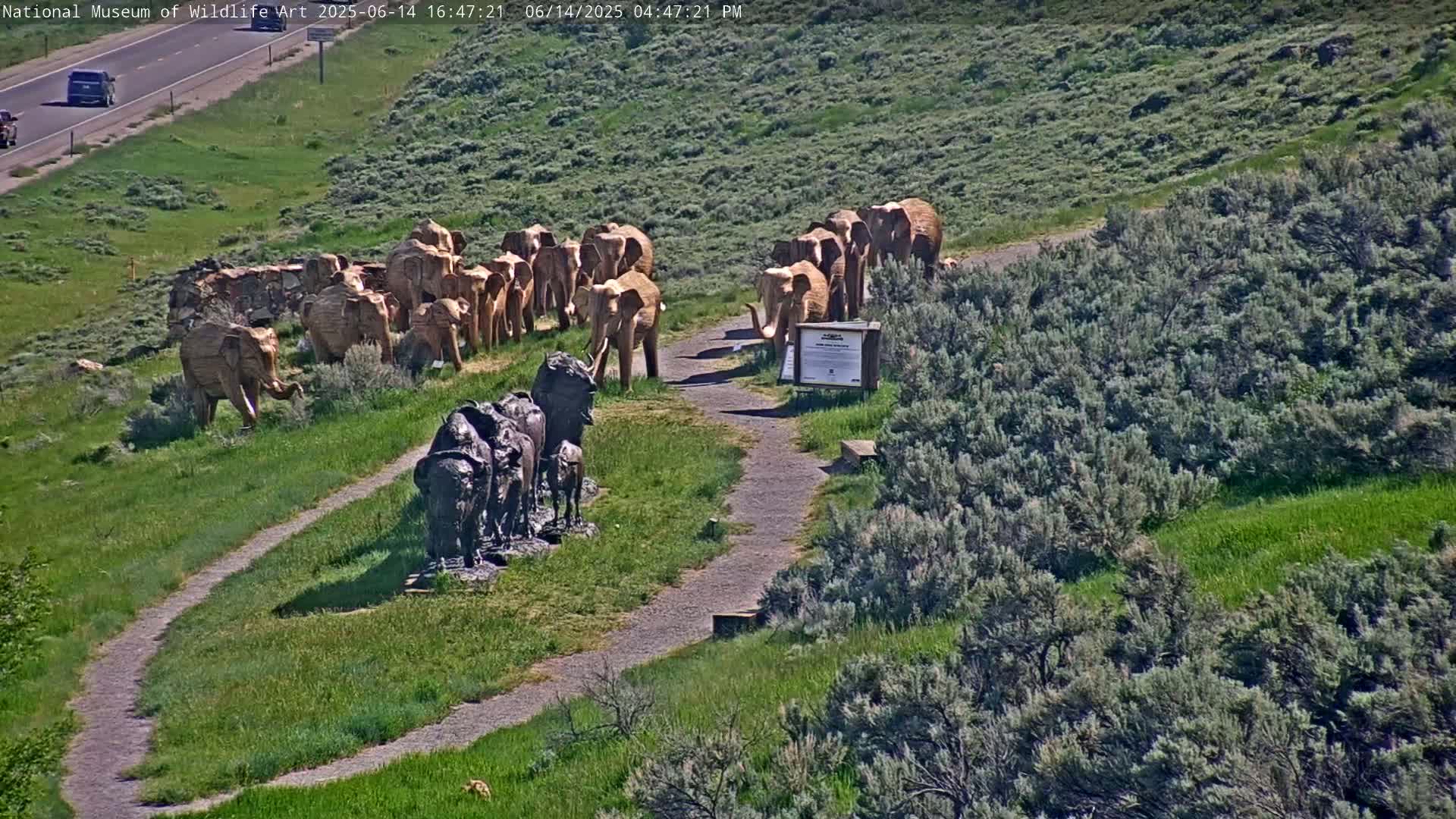 A sunny outdoor scene shows a winding path leading to several large elephant and bison sculptures, with people walking along the path and observing the art.