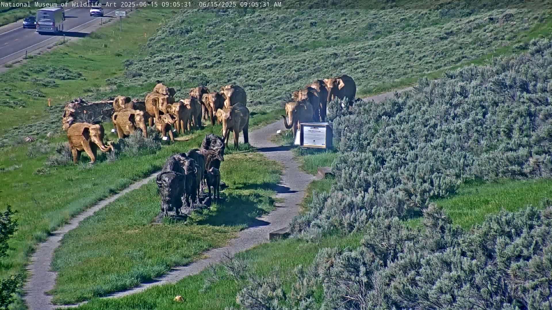 A sunny day reveals a gravel path winding through grassy hills dotted with numerous wooden elephant and buffalo sculptures.