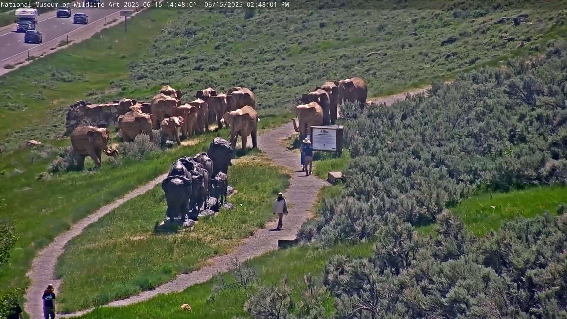 Jackson Hole, Elk Refuge from National Museum of Wildlife Art Live Cam -  Jackson, Teton, Wyoming, USA