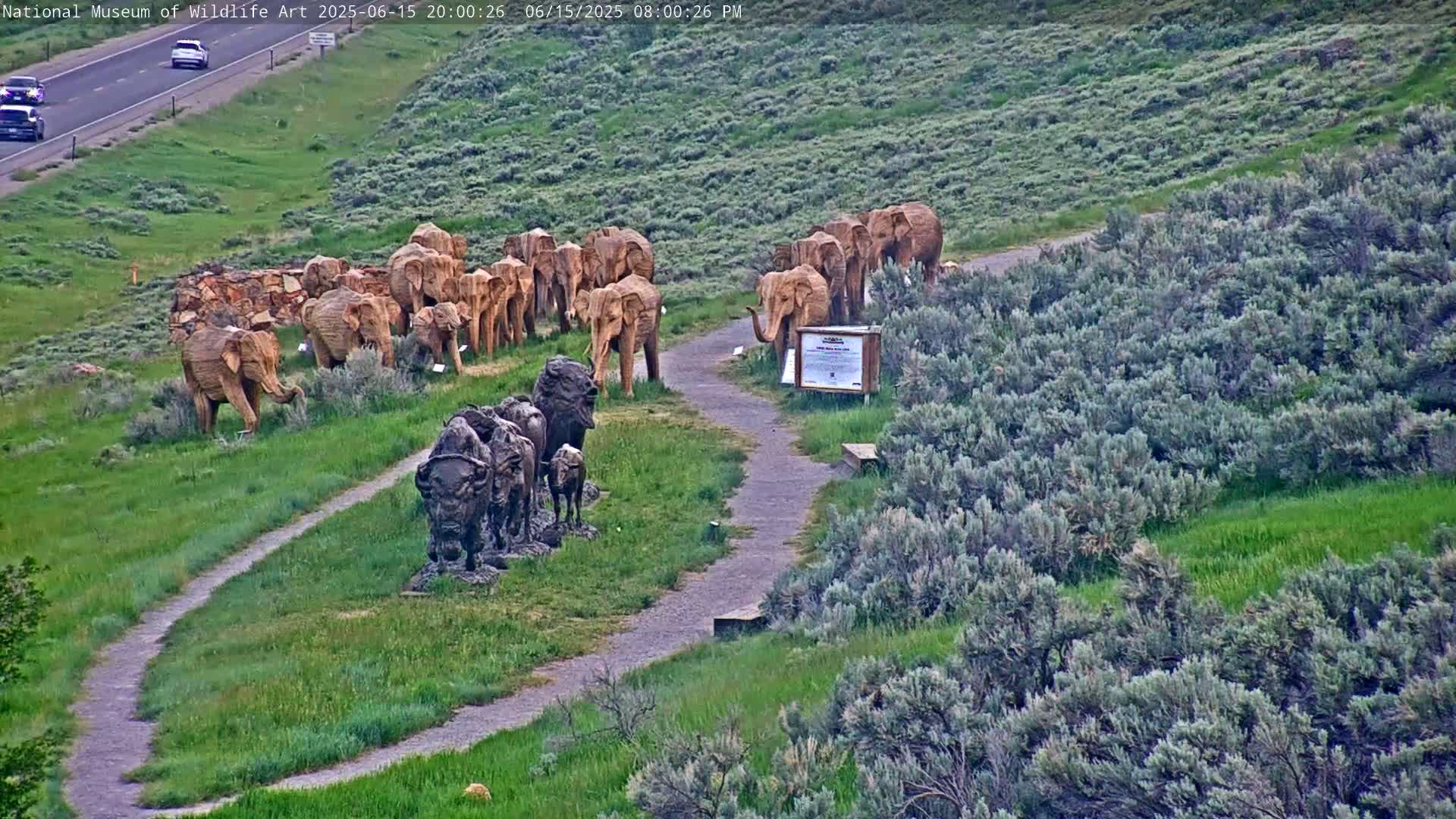 Jackson Hole, Elk Refuge from National Museum of Wildlife Art Live Cam -  Jackson, Teton, Wyoming, USA