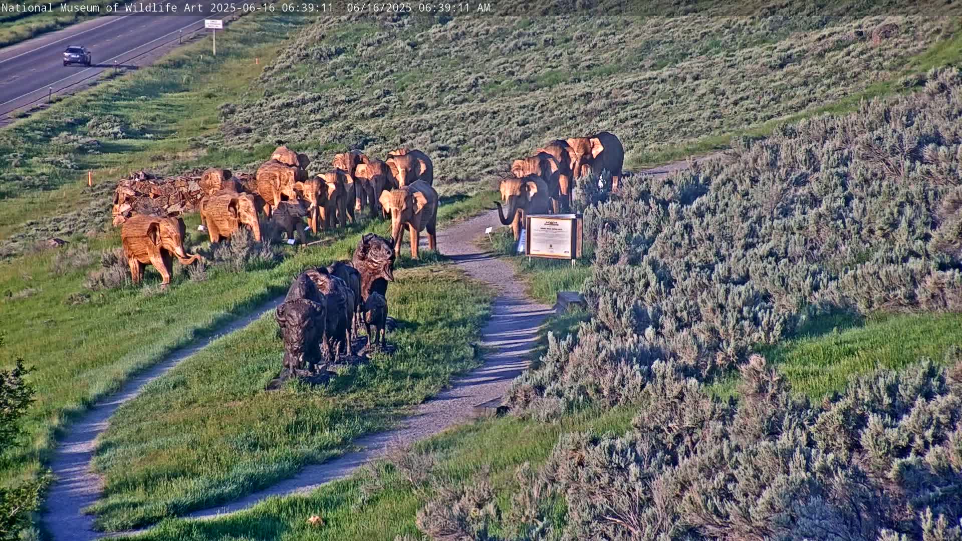 A gravel path winds through a grassy area with numerous wooden elephant and buffalo sculptures, under a sunny sky.