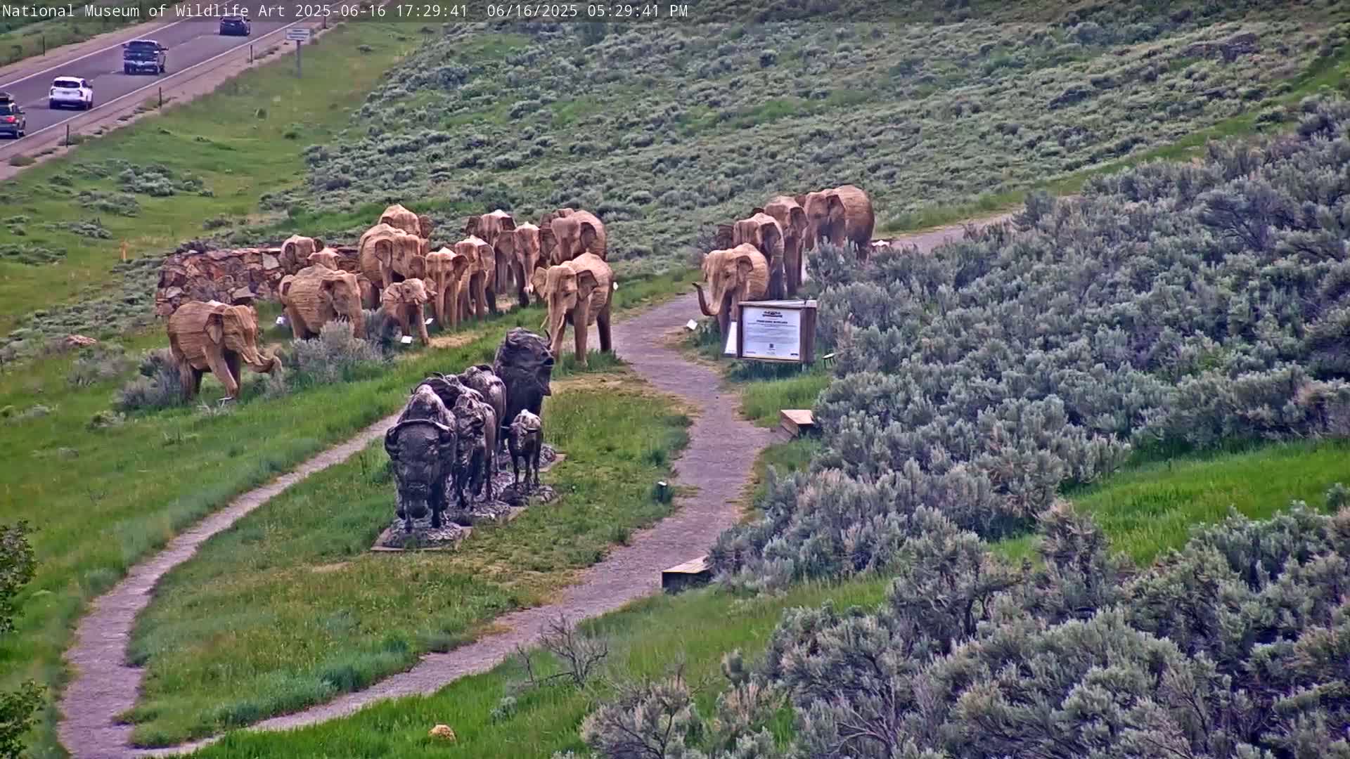 Jackson Hole, Elk Refuge from National Museum of Wildlife Art Live Cam -  Jackson, Teton, Wyoming, USA