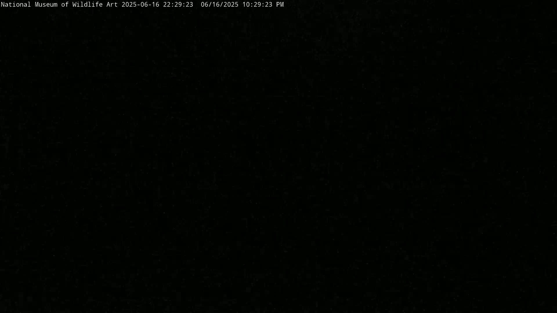 Jackson Hole, Elk Refuge from National Museum of Wildlife Art Live Cam -  Jackson, Teton, Wyoming, USA