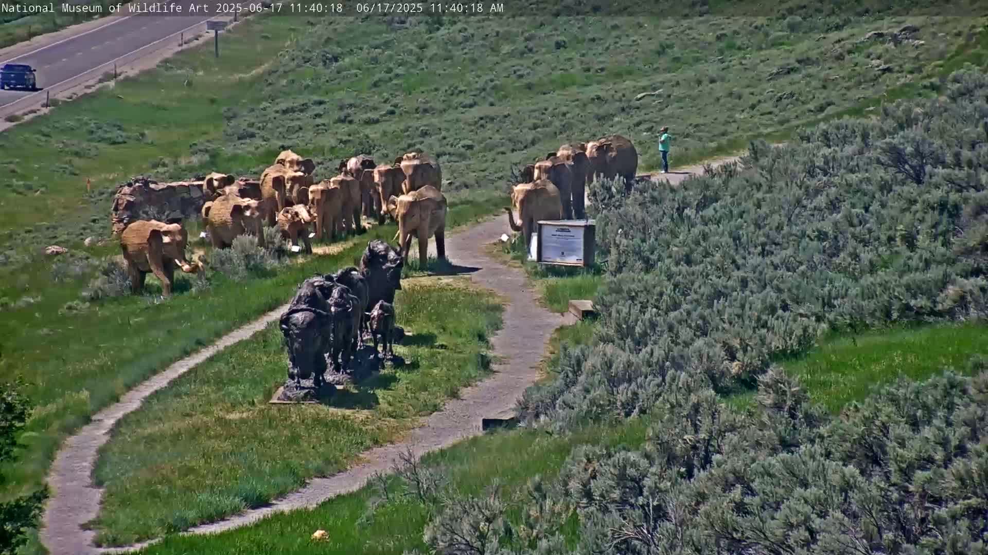 A sunny outdoor scene shows a herd of elephant sculptures near a path, with a smaller group of bison sculptures nearby, and a person standing in the distance.