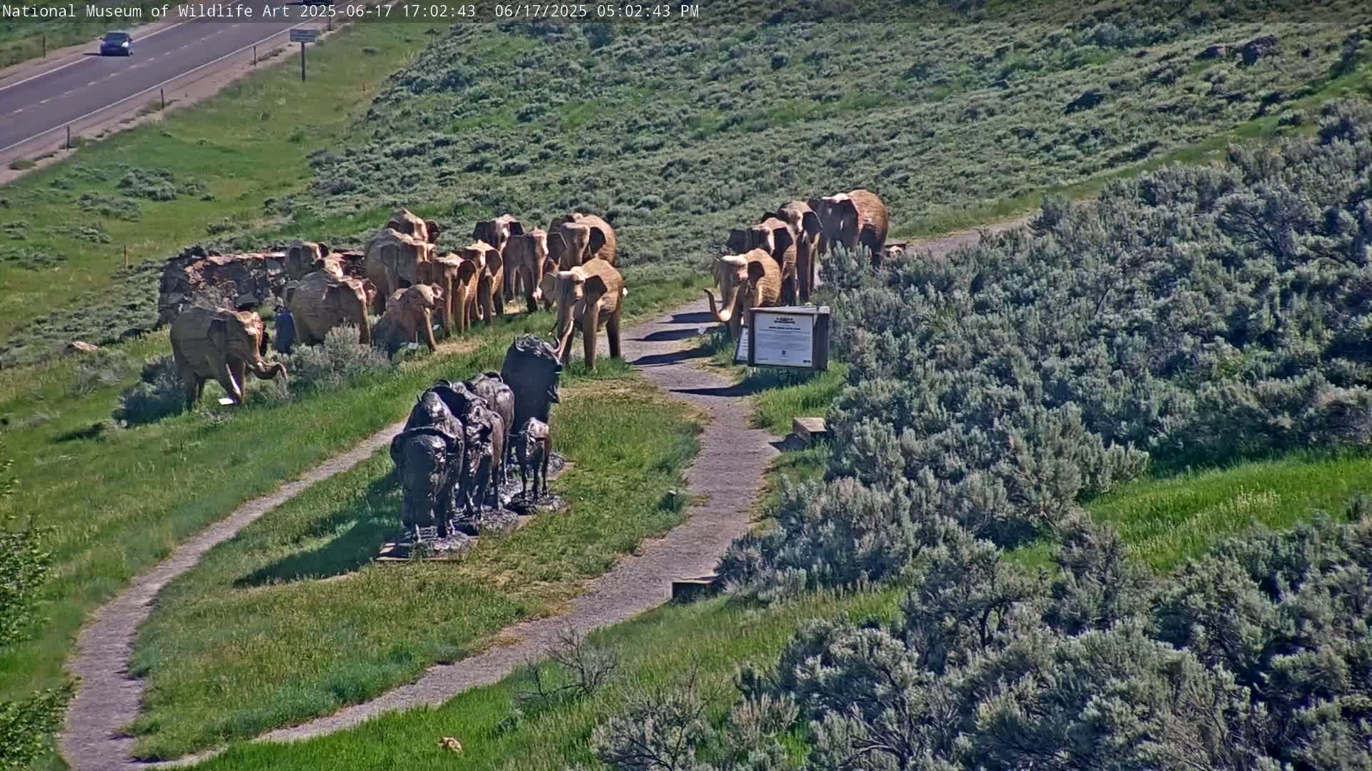 Jackson Hole, Elk Refuge from National Museum of Wildlife Art Live Cam -  Jackson, Teton, Wyoming, USA