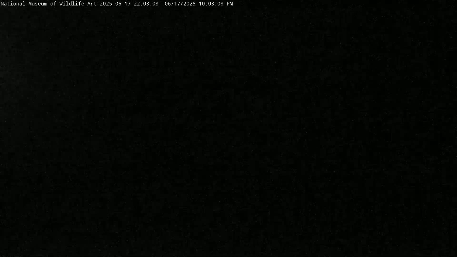 Jackson Hole, Elk Refuge from National Museum of Wildlife Art Live Cam -  Jackson, Teton, Wyoming, USA
