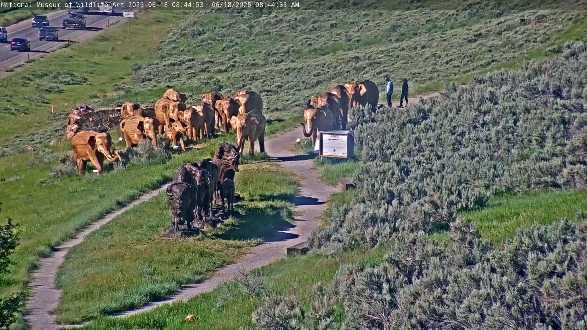 A sunny outdoor scene shows a pathway with wooden elephant and bison sculptures, near a highway.