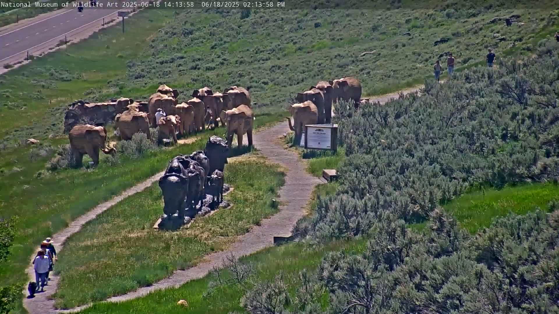 Jackson Hole, Elk Refuge from National Museum of Wildlife Art Live Cam -  Jackson, Teton, Wyoming, USA