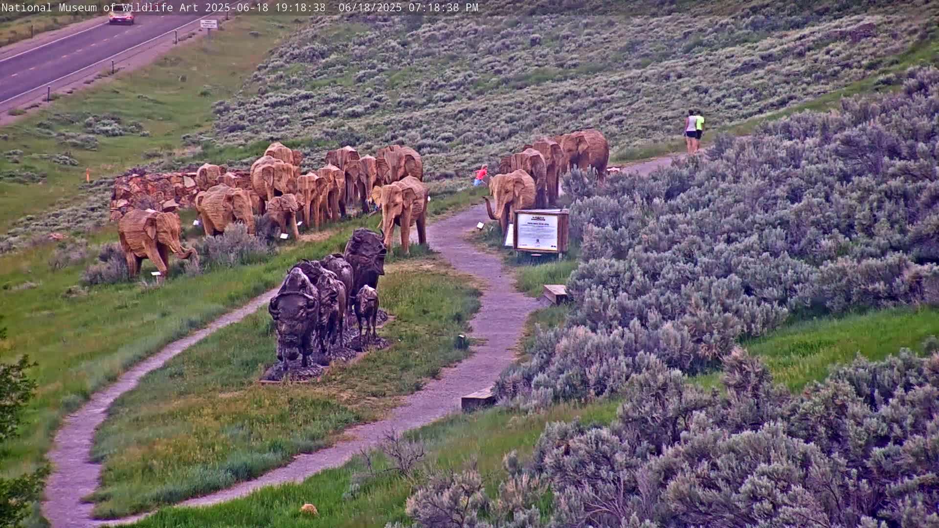 Jackson Hole, Elk Refuge from National Museum of Wildlife Art Live Cam -  Jackson, Teton, Wyoming, USA