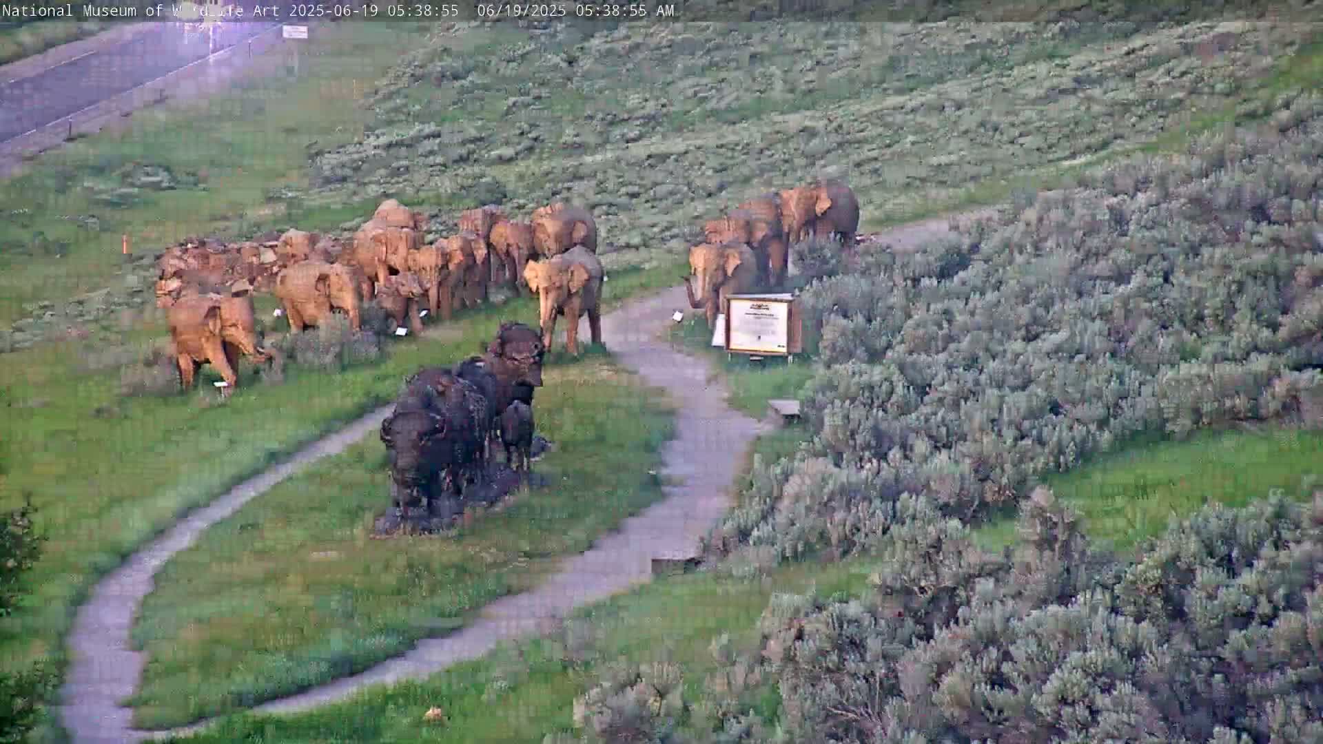 A high-angle view shows a herd of elephant and buffalo sculptures on a grassy area with a winding path, under a clear sky.