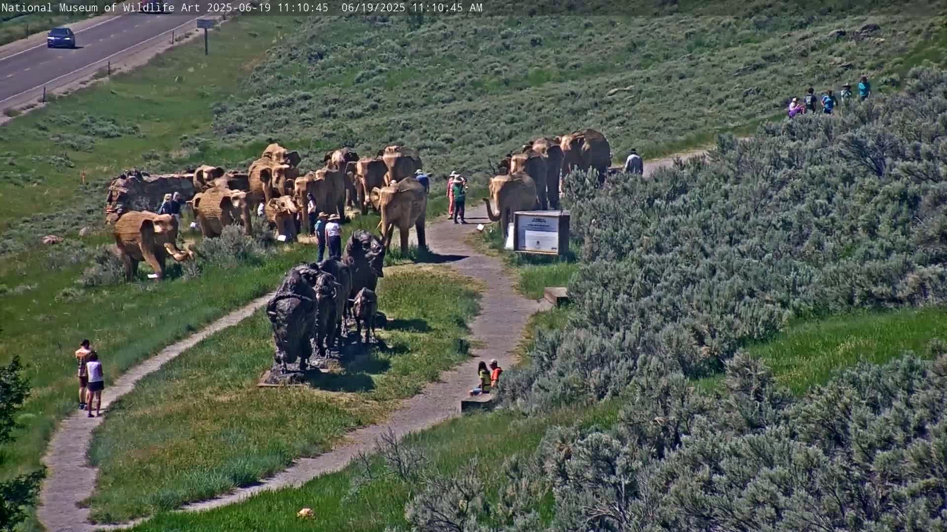 A sunny outdoor scene shows a pathway winding through a grassy area with numerous elephant and bison sculptures, and several people are observing them.