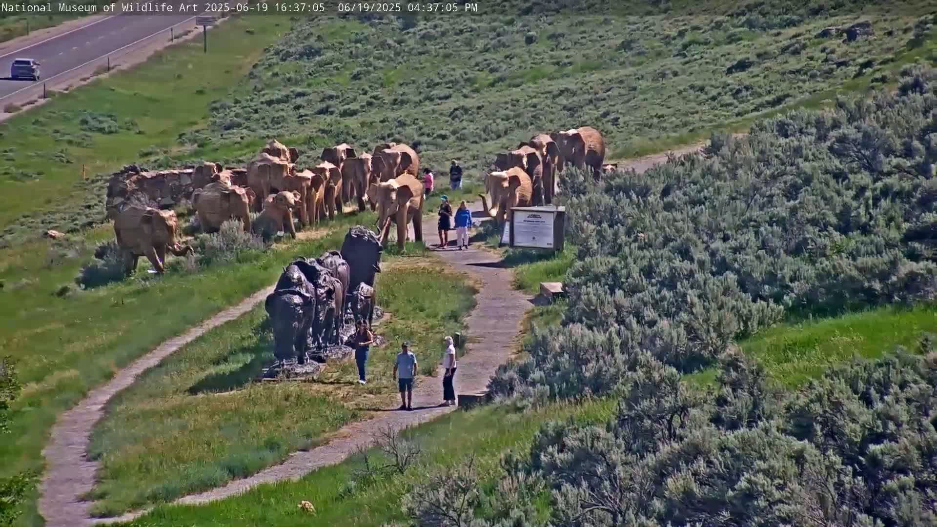 Jackson Hole, Elk Refuge from National Museum of Wildlife Art Live Cam -  Jackson, Teton, Wyoming, USA