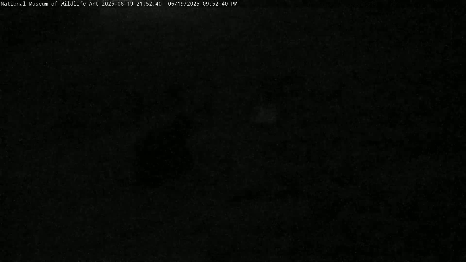 Jackson Hole, Elk Refuge from National Museum of Wildlife Art Live Cam -  Jackson, Teton, Wyoming, USA