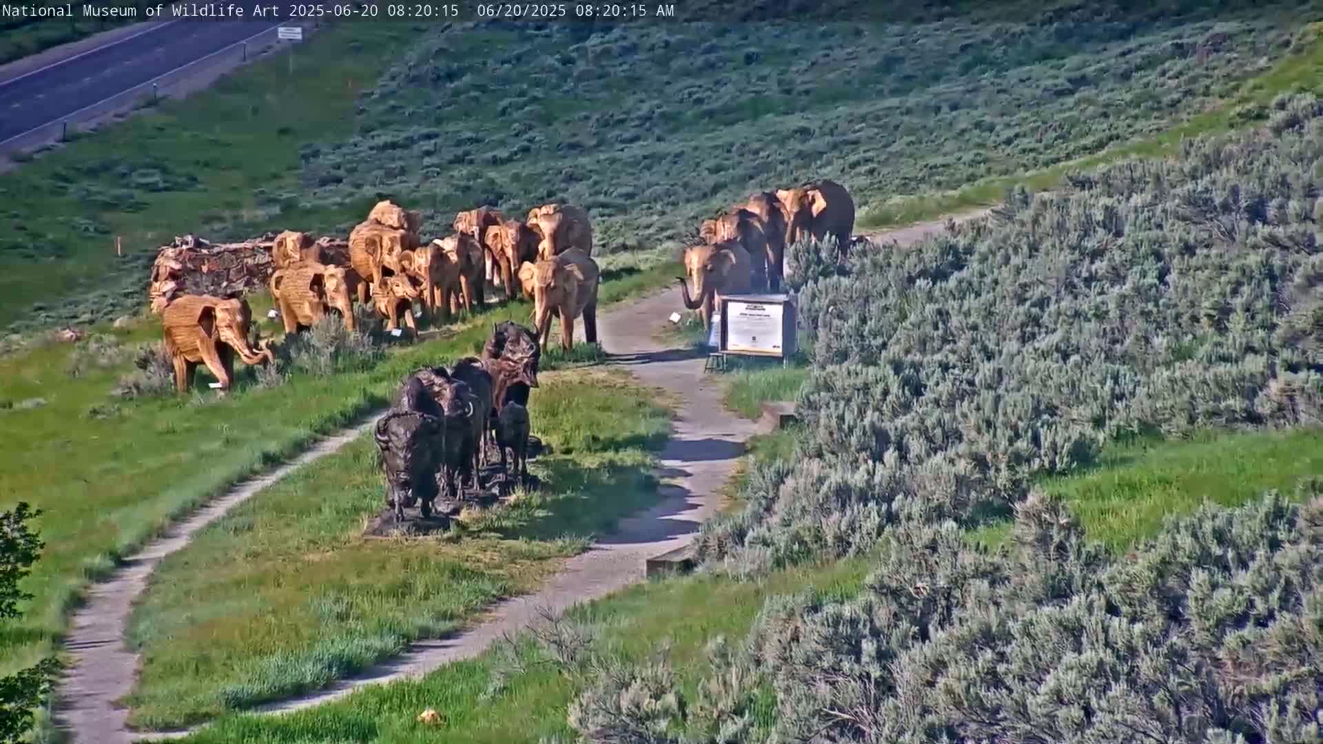 A gravel path winds through a grassy area with numerous wooden elephant and buffalo sculptures, under a sunny sky.