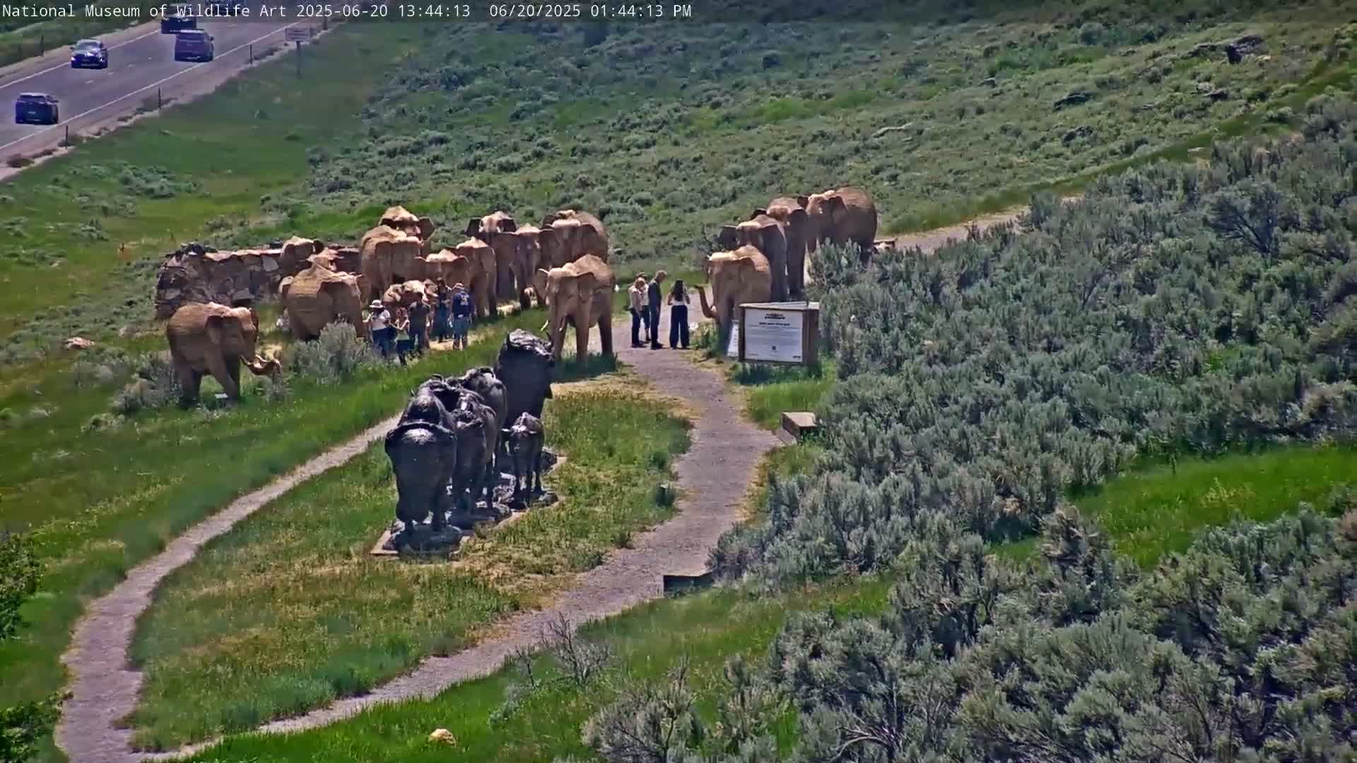 Jackson Hole, Elk Refuge from National Museum of Wildlife Art Live Cam -  Jackson, Teton, Wyoming, USA