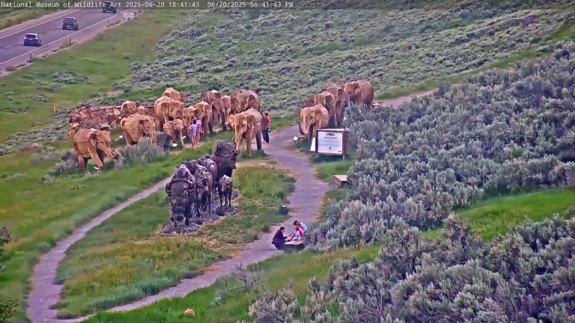 Jackson Hole, Elk Refuge from National Museum of Wildlife Art Live Cam -  Jackson, Teton, Wyoming, USA