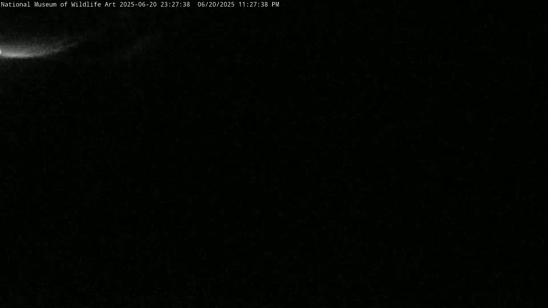 Jackson Hole, Elk Refuge from National Museum of Wildlife Art Live Cam -  Jackson, Teton, Wyoming, USA