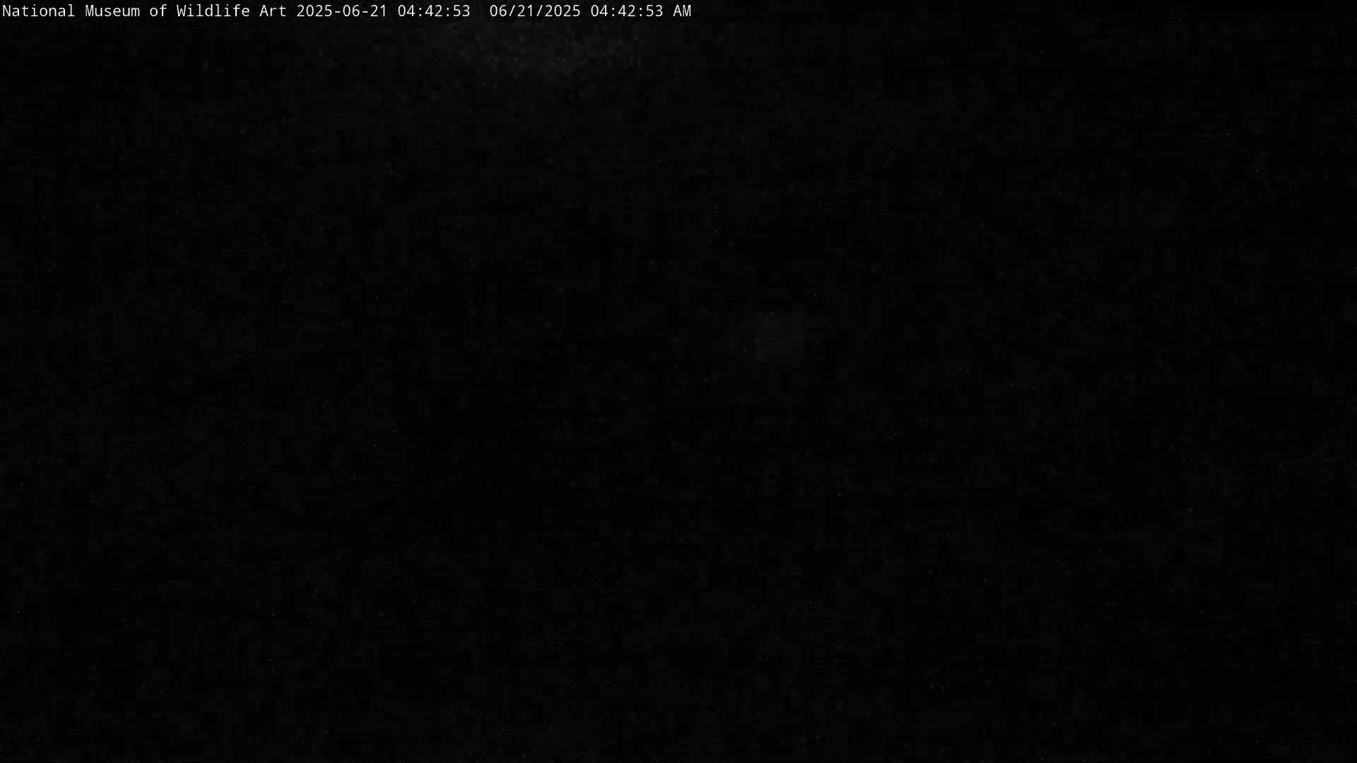A completely dark image is visible, possibly at night.
