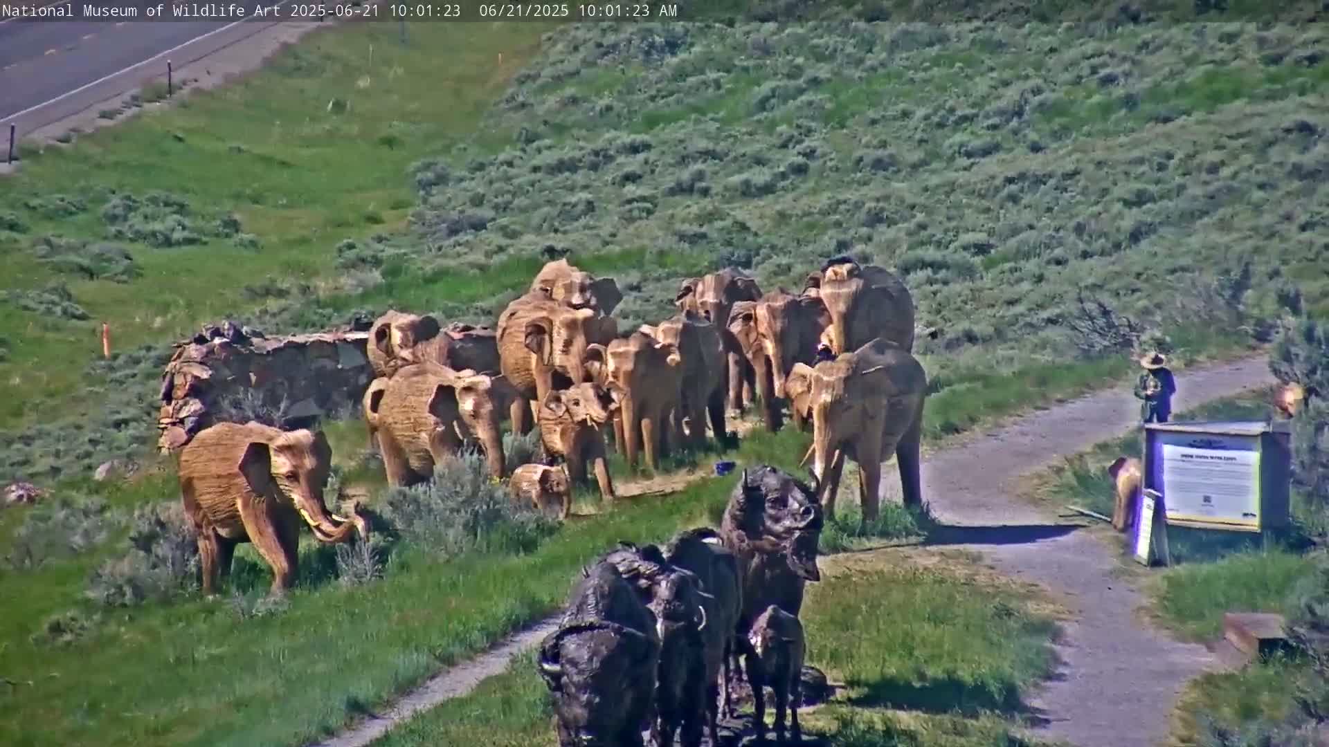 A herd of elephant and buffalo statues stands on a grassy hillside on a sunny day, near a gravel path where a person is standing next to an informational sign.