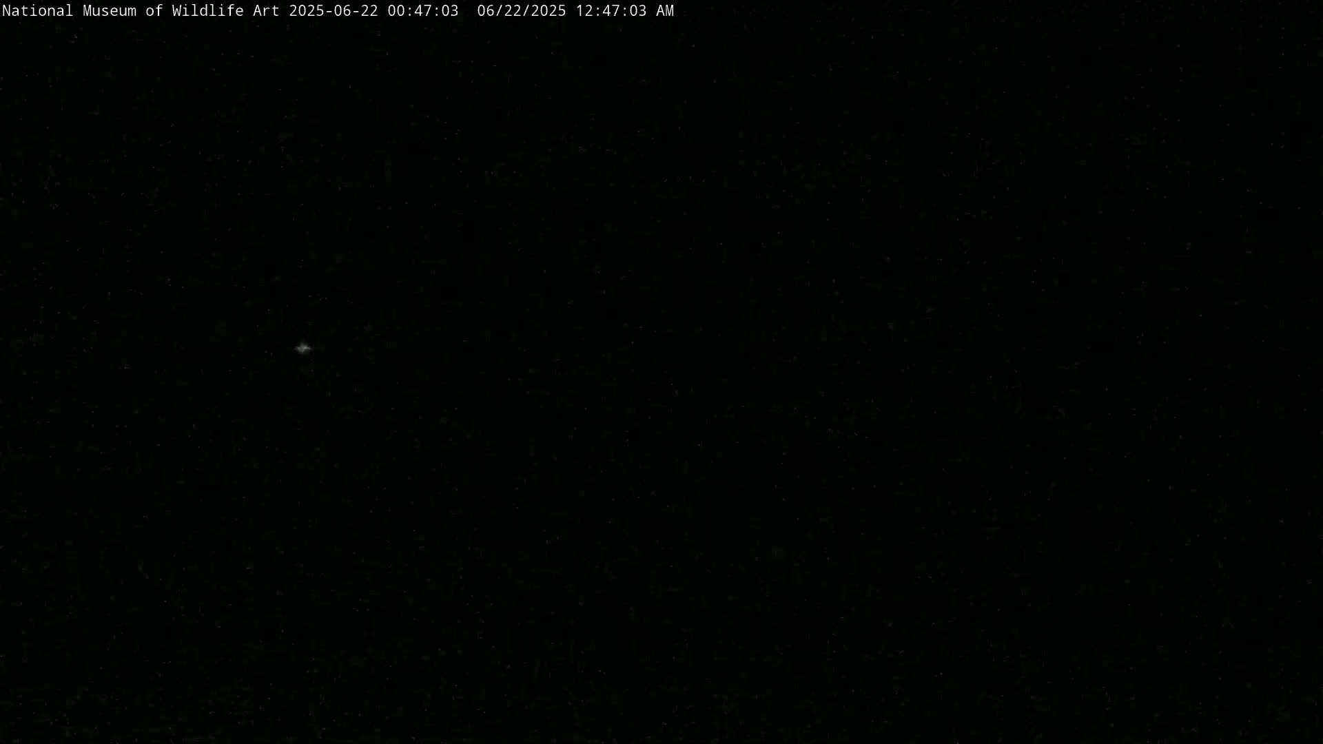 Jackson Hole, Elk Refuge from National Museum of Wildlife Art Live Cam -  Jackson, Teton, Wyoming, USA