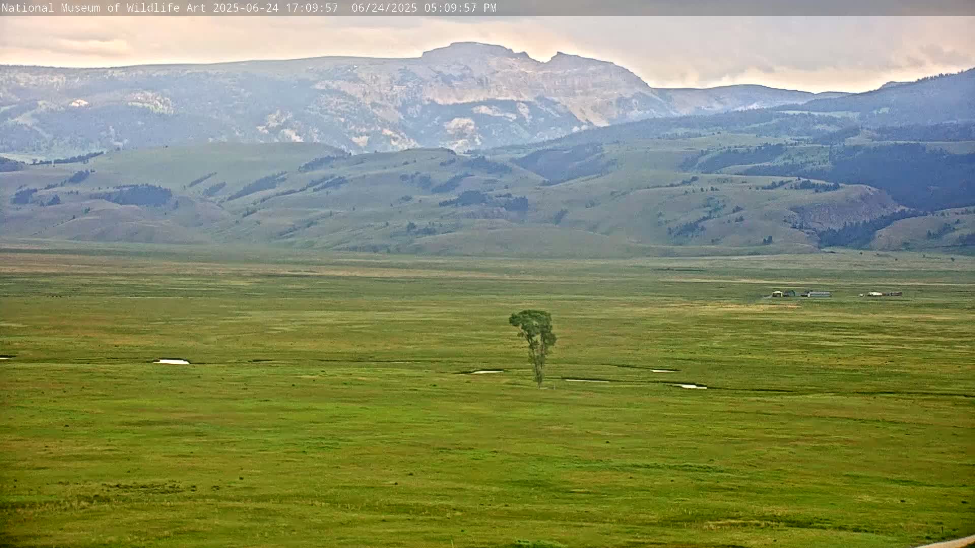 Jackson Hole, Elk Refuge from National Museum of Wildlife Art Live Cam -  Jackson, Teton, Wyoming, USA