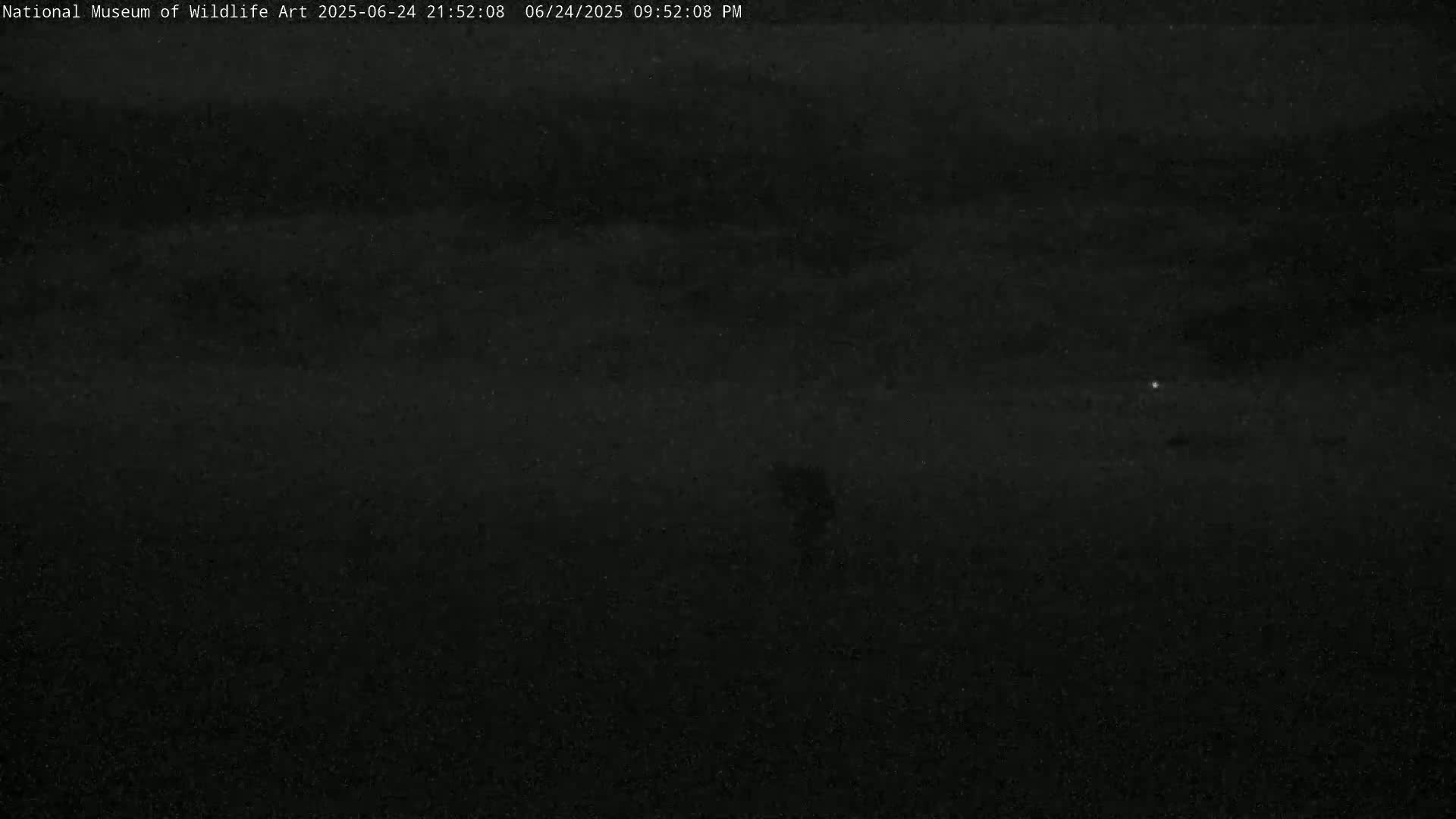 Jackson Hole, Elk Refuge from National Museum of Wildlife Art Live Cam -  Jackson, Teton, Wyoming, USA