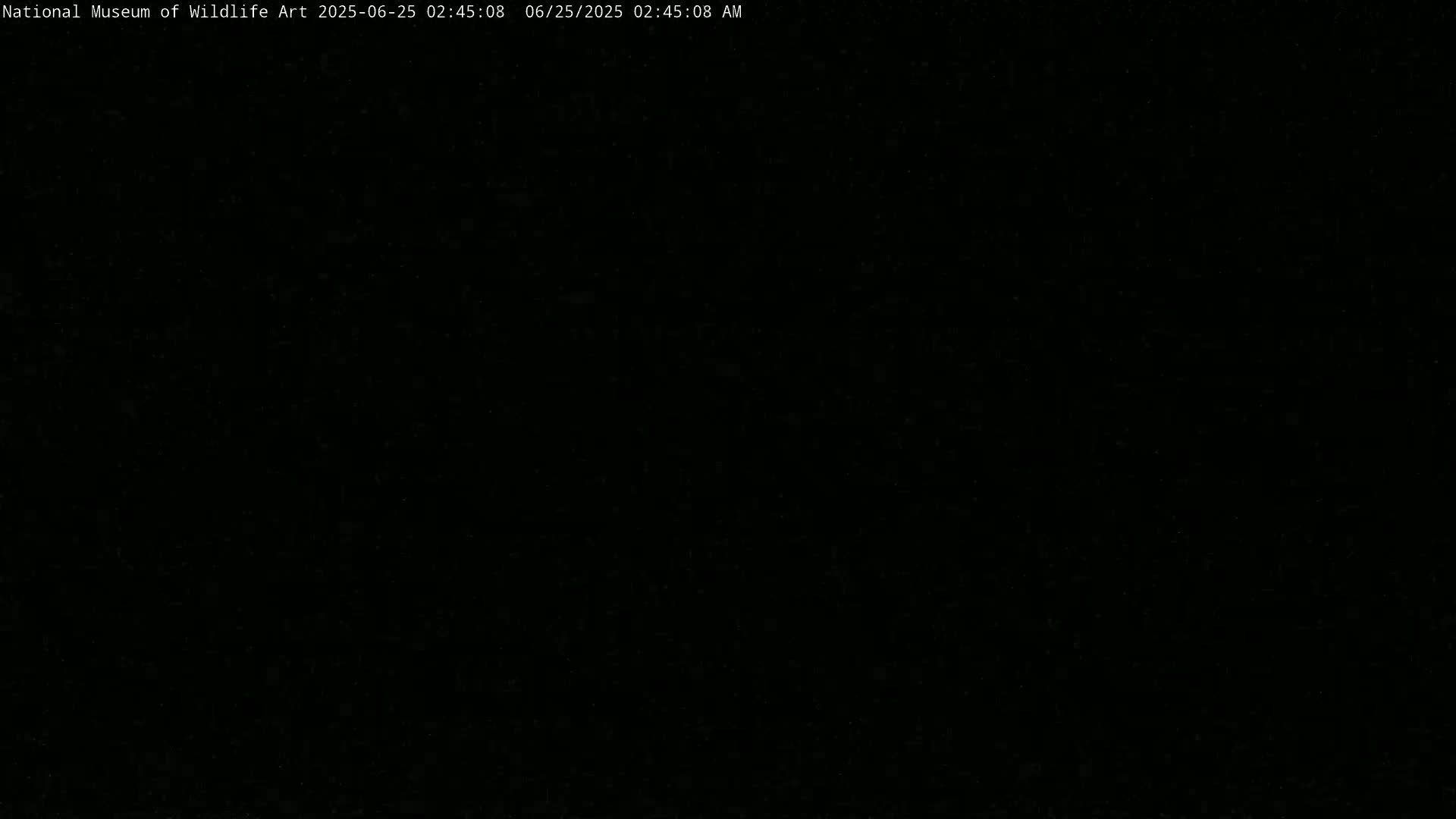 Jackson Hole, Elk Refuge from National Museum of Wildlife Art Live Cam -  Jackson, Teton, Wyoming, USA