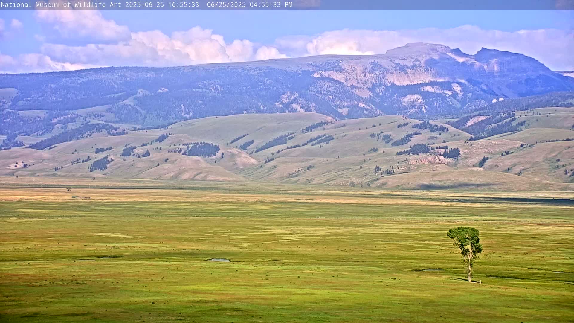 Jackson Hole, Elk Refuge from National Museum of Wildlife Art Live Cam -  Jackson, Teton, Wyoming, USA