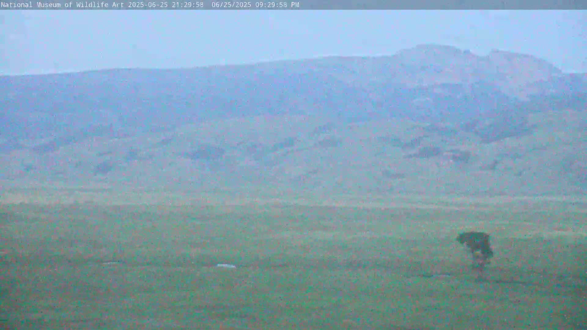 Jackson Hole, Elk Refuge from National Museum of Wildlife Art Live Cam -  Jackson, Teton, Wyoming, USA