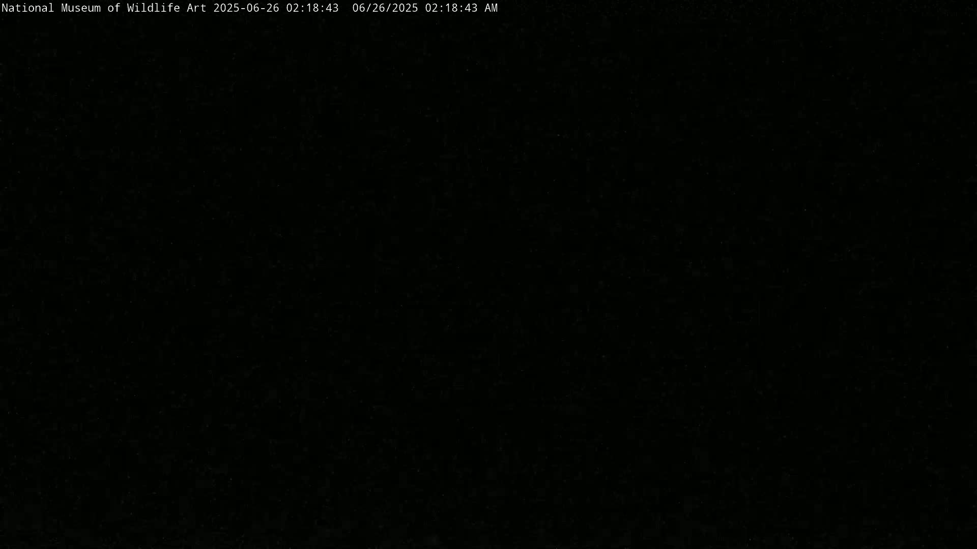 Jackson Hole, Elk Refuge from National Museum of Wildlife Art Live Cam -  Jackson, Teton, Wyoming, USA