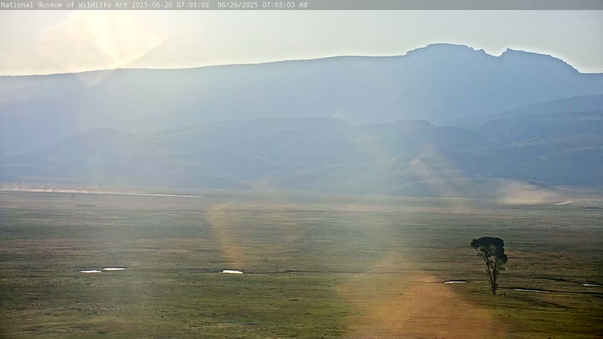 Jackson Hole, Elk Refuge from National Museum of Wildlife Art Live Cam -  Jackson, Teton, Wyoming, USA
