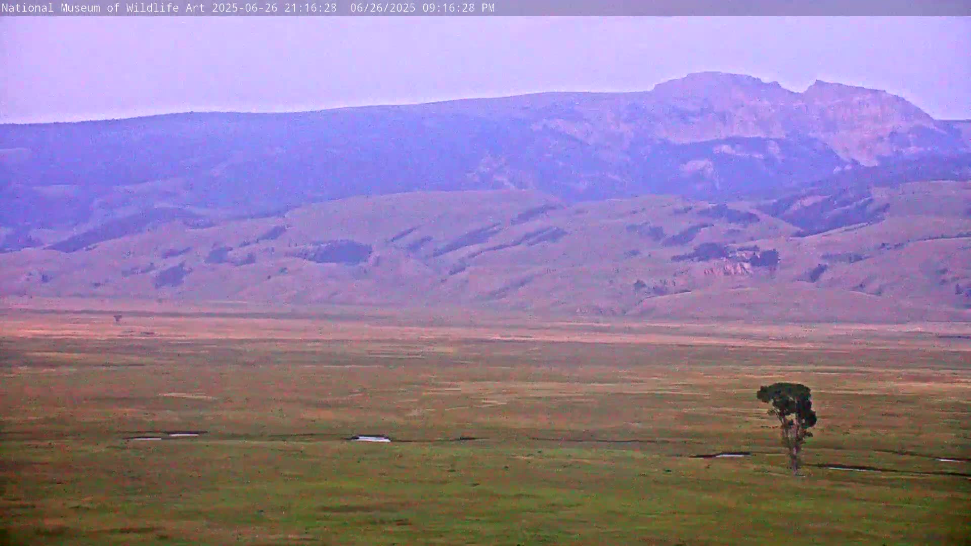 Jackson Hole, Elk Refuge from National Museum of Wildlife Art Live Cam -  Jackson, Teton, Wyoming, USA