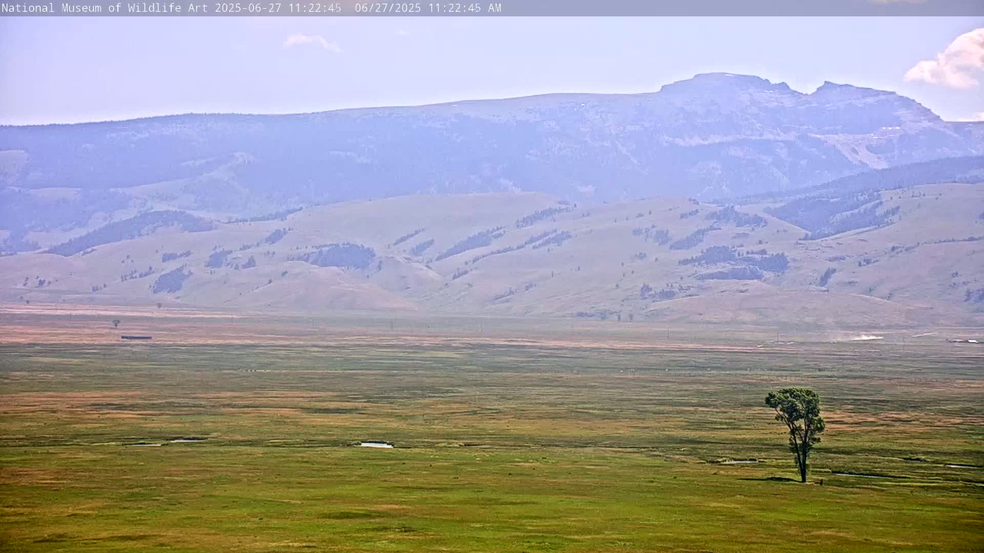 Jackson Hole, Elk Refuge from National Museum of Wildlife Art Live Cam -  Jackson, Teton, Wyoming, USA