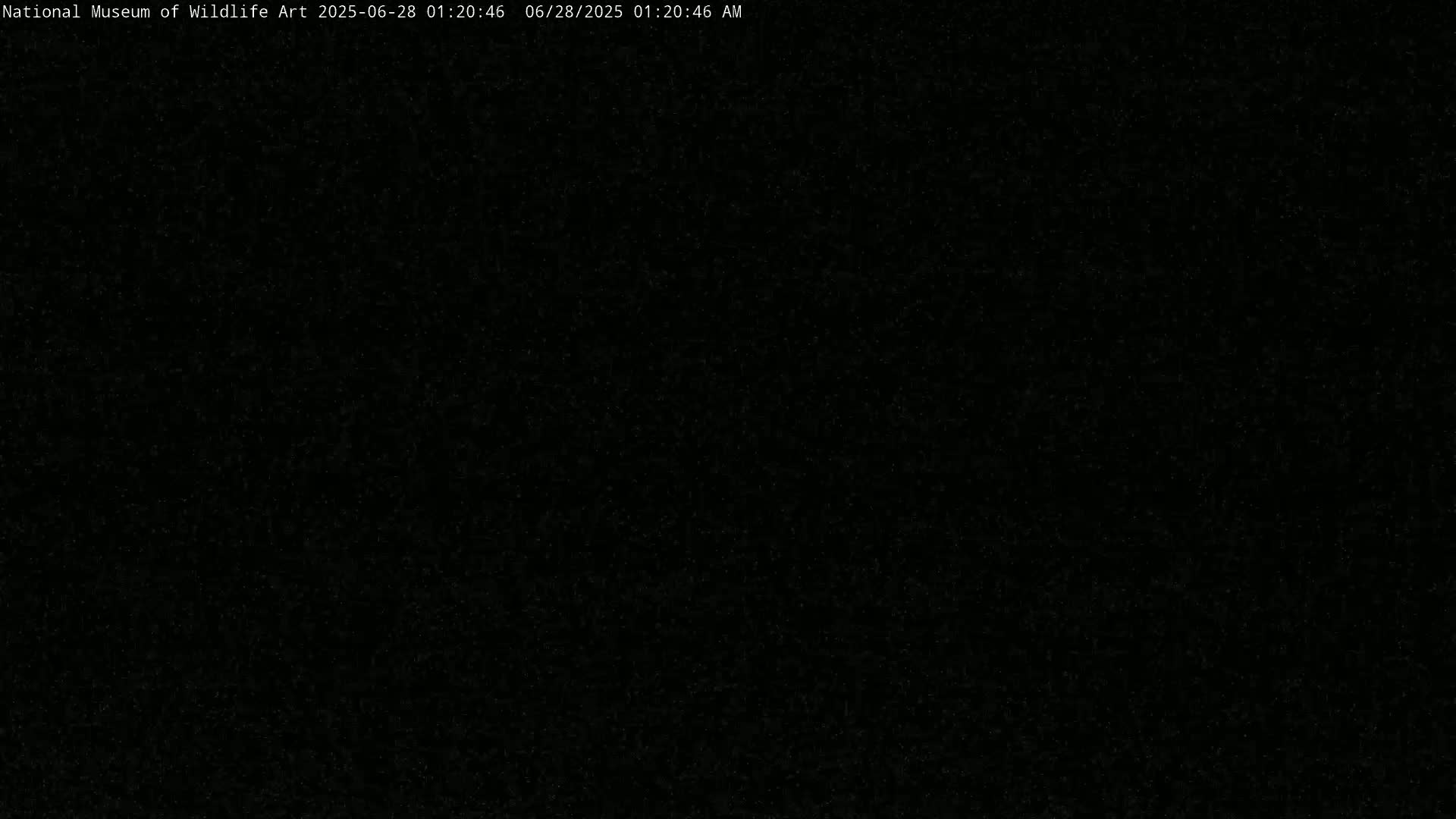 The image is a completely black screen with a subtle speckled texture.