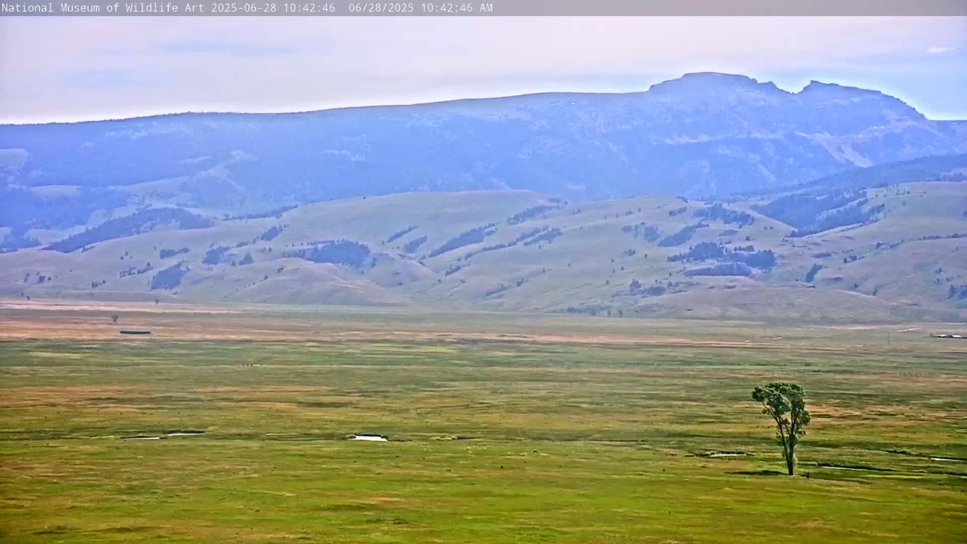 Jackson Hole, Elk Refuge from National Museum of Wildlife Art Live Cam -  Jackson, Teton, Wyoming, USA