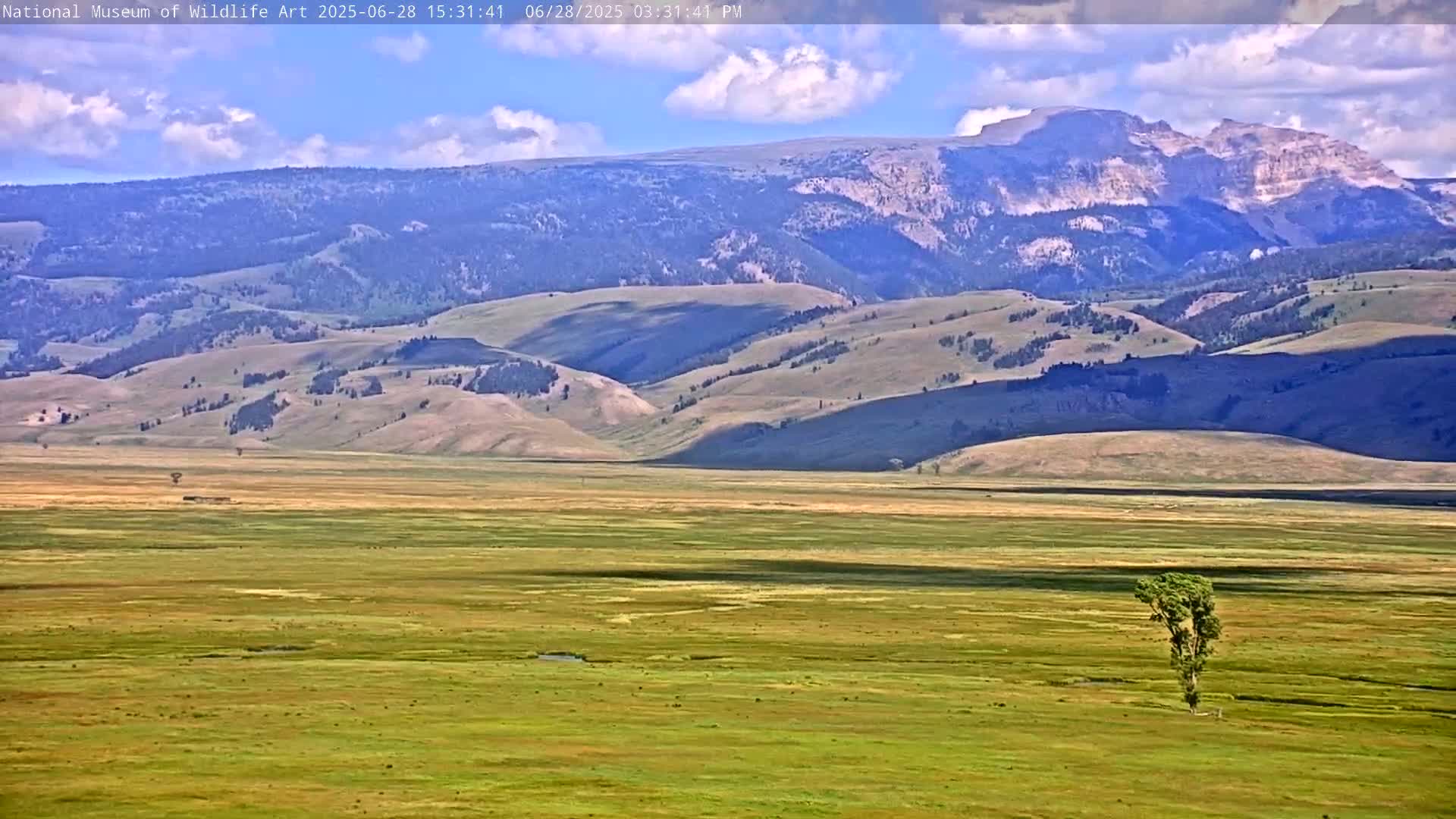 Jackson Hole, Elk Refuge from National Museum of Wildlife Art Live Cam -  Jackson, Teton, Wyoming, USA