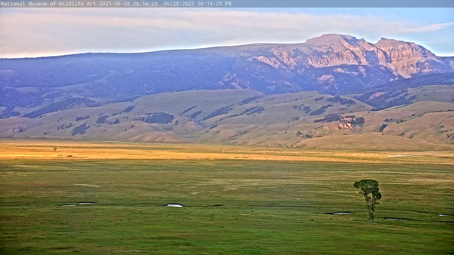Jackson Hole, Elk Refuge from National Museum of Wildlife Art Live Cam -  Jackson, Teton, Wyoming, USA