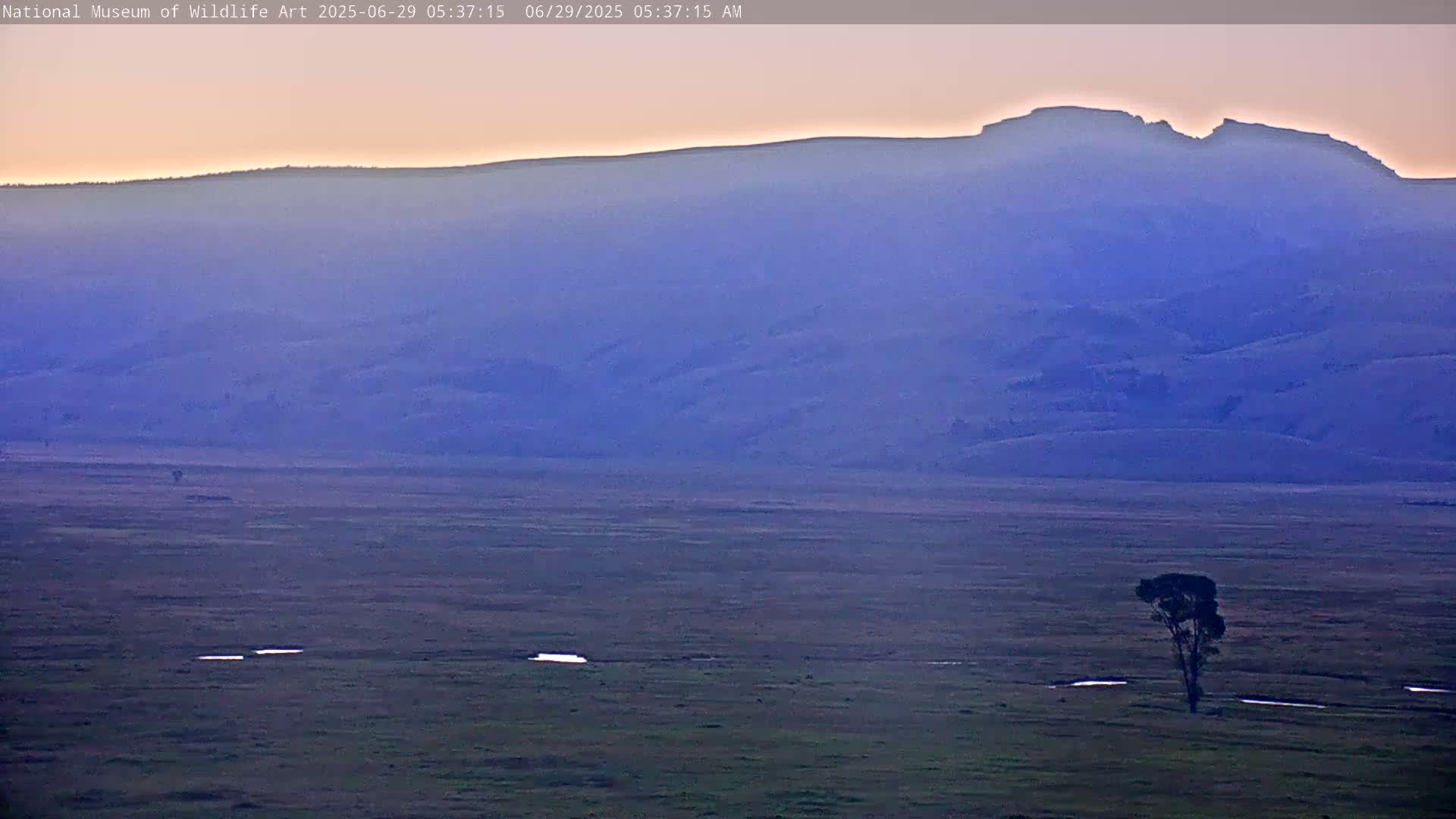 Jackson Hole, Elk Refuge from National Museum of Wildlife Art Live Cam -  Jackson, Teton, Wyoming, USA