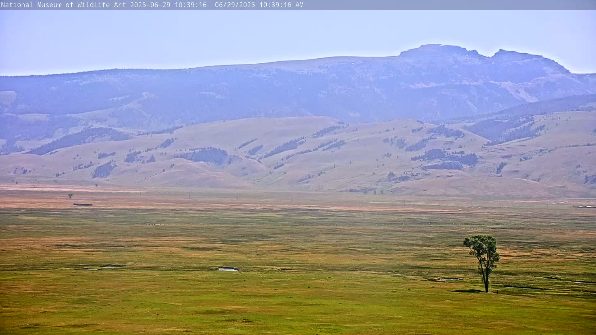 Jackson Hole, Elk Refuge from National Museum of Wildlife Art Live Cam -  Jackson, Teton, Wyoming, USA