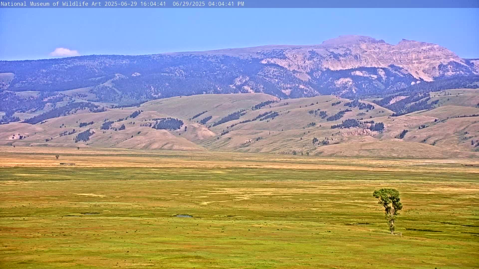 Jackson Hole, Elk Refuge from National Museum of Wildlife Art Live Cam -  Jackson, Teton, Wyoming, USA
