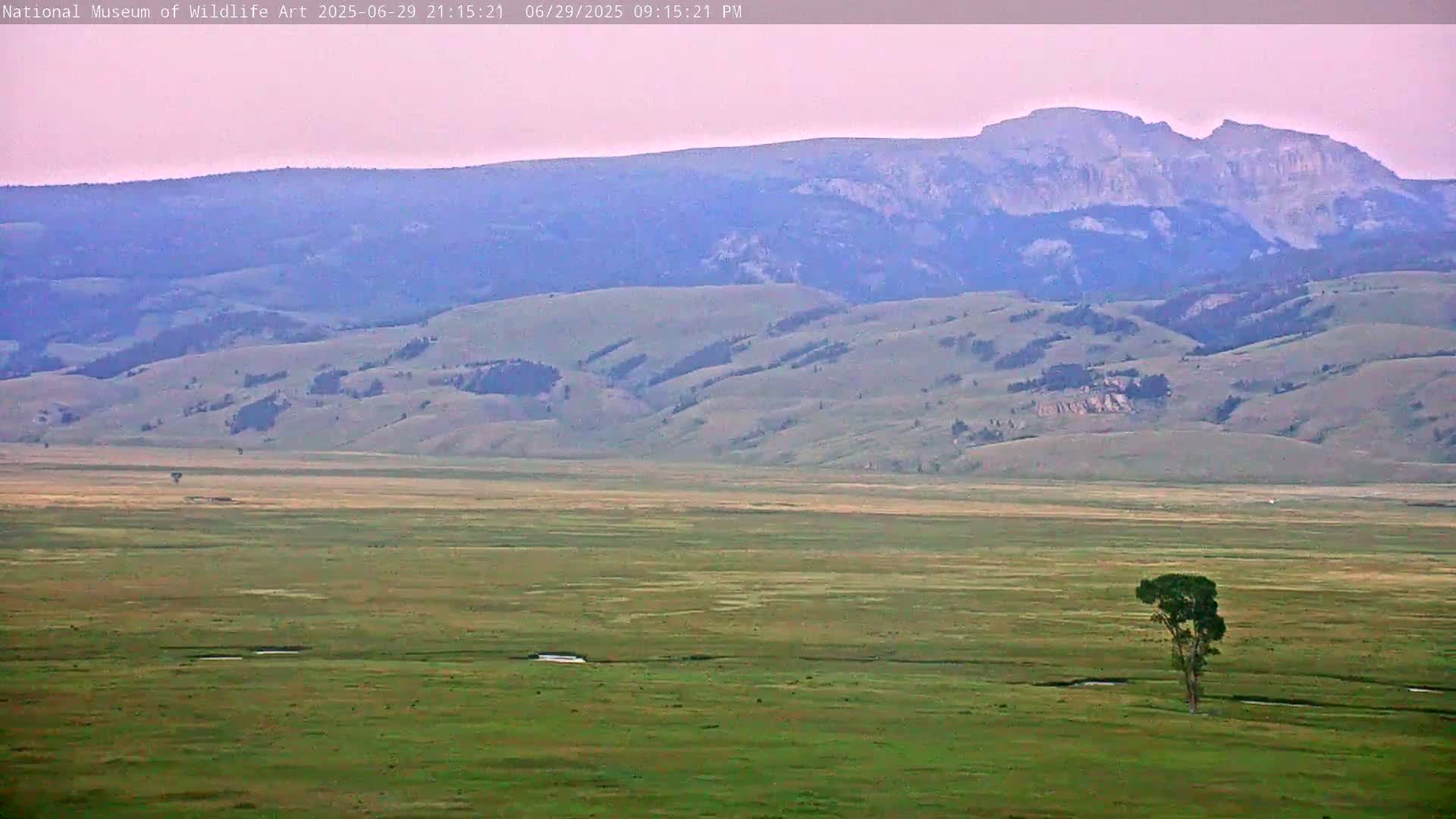 Jackson Hole, Elk Refuge from National Museum of Wildlife Art Live Cam -  Jackson, Teton, Wyoming, USA