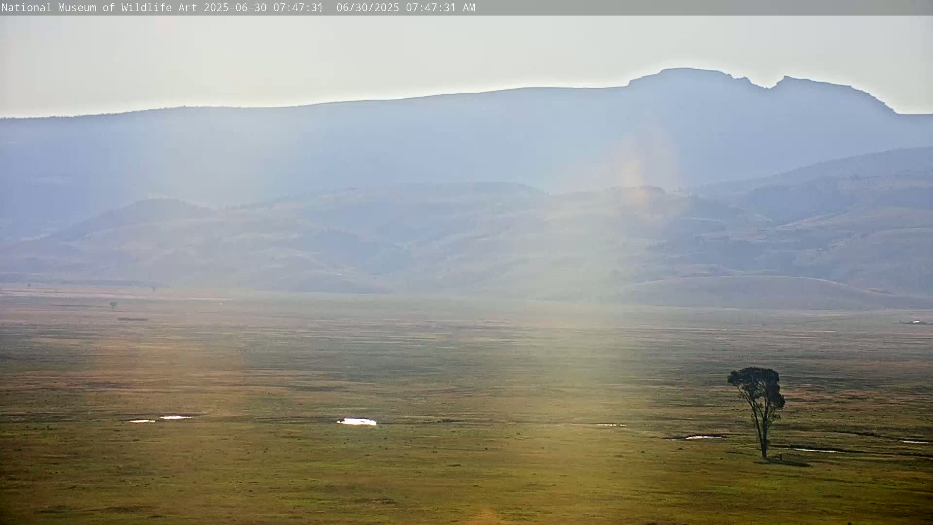 Jackson Hole, Elk Refuge from National Museum of Wildlife Art Live Cam -  Jackson, Teton, Wyoming, USA
