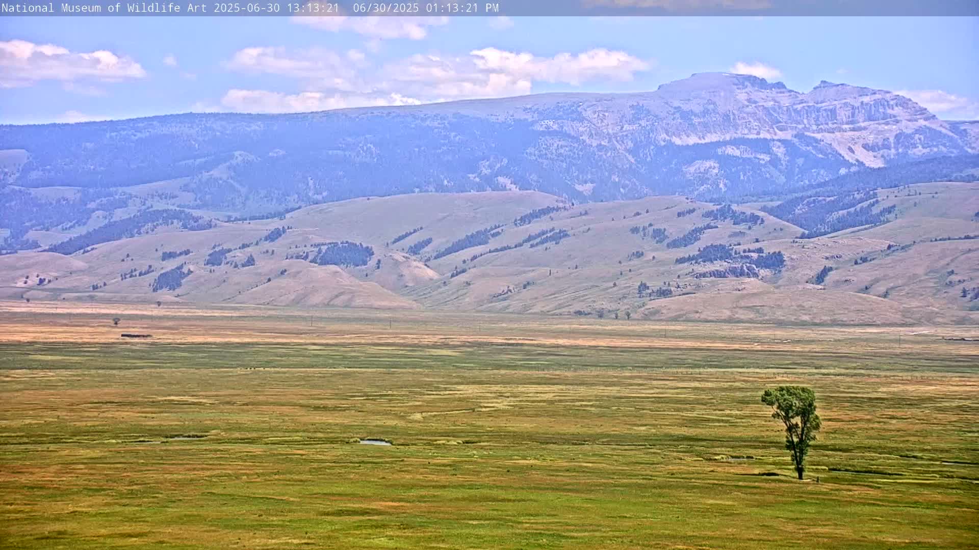 Jackson Hole, Elk Refuge from National Museum of Wildlife Art Live Cam -  Jackson, Teton, Wyoming, USA