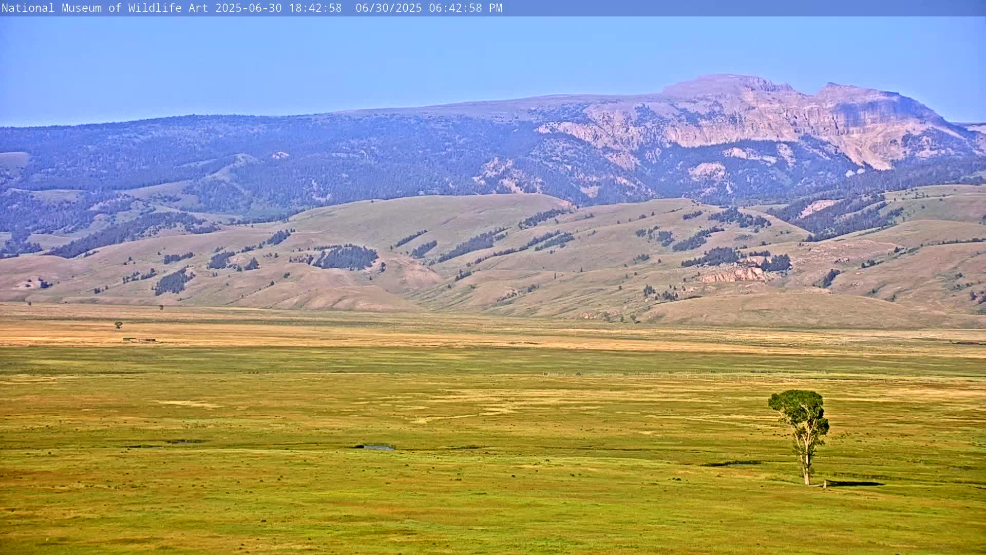 Jackson Hole, Elk Refuge from National Museum of Wildlife Art Live Cam -  Jackson, Teton, Wyoming, USA