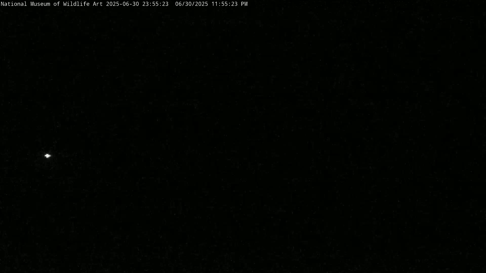Jackson Hole, Elk Refuge from National Museum of Wildlife Art Live Cam -  Jackson, Teton, Wyoming, USA
