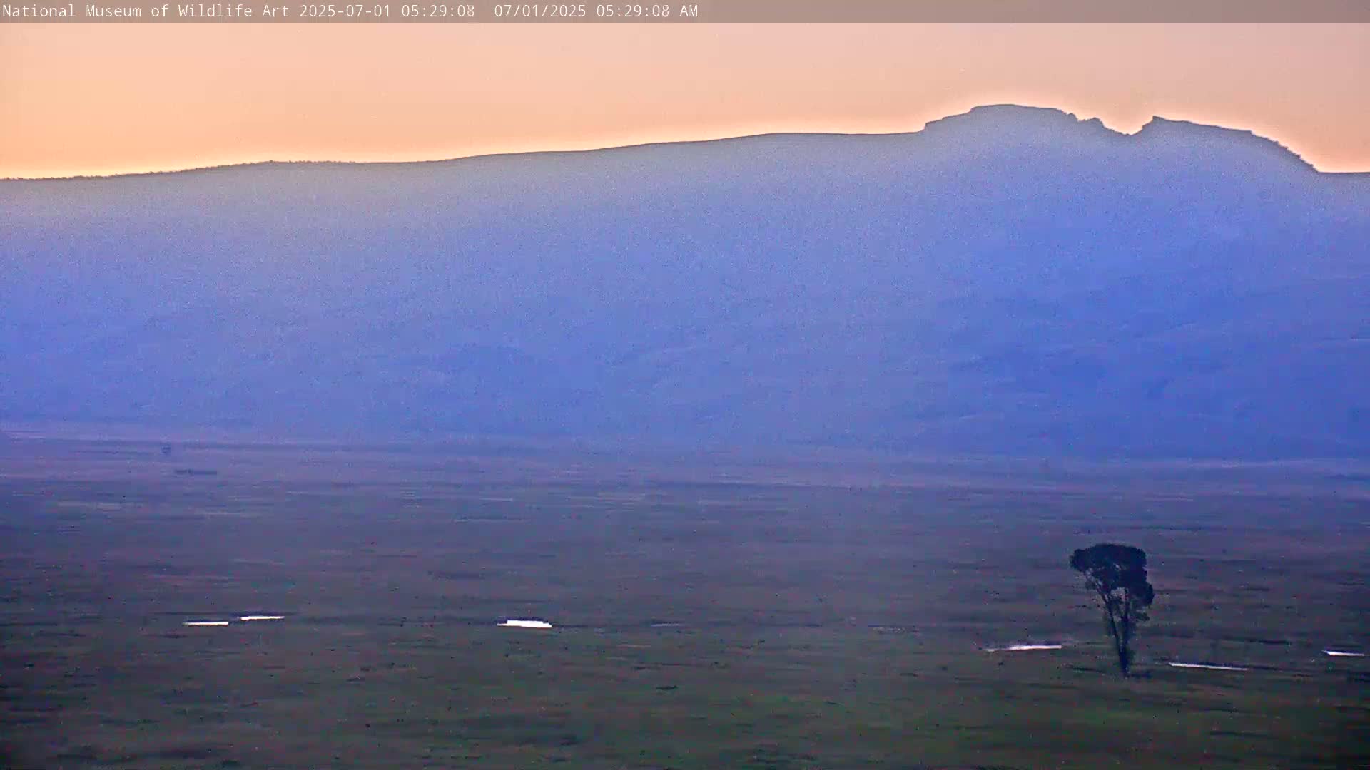 Jackson Hole, Elk Refuge from National Museum of Wildlife Art Live Cam -  Jackson, Teton, Wyoming, USA
