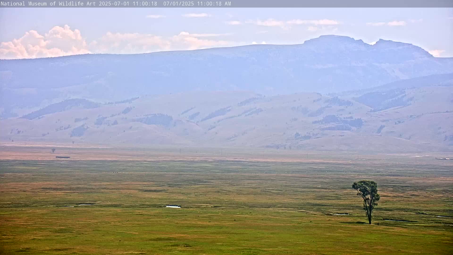 Jackson Hole, Elk Refuge from National Museum of Wildlife Art Live Cam -  Jackson, Teton, Wyoming, USA